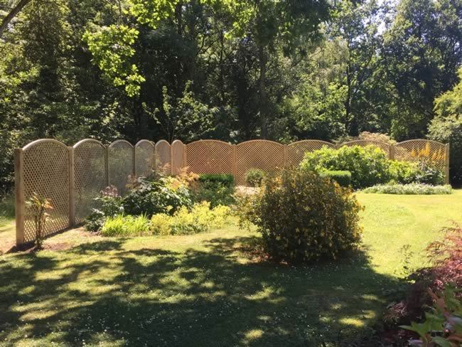 arch-top trellis fencing in Wantage garden